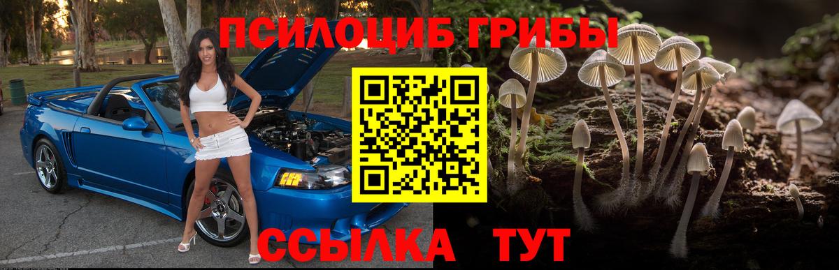Белорецк  Псилоцибиновые грибы Cubensis  Вход с VPN 